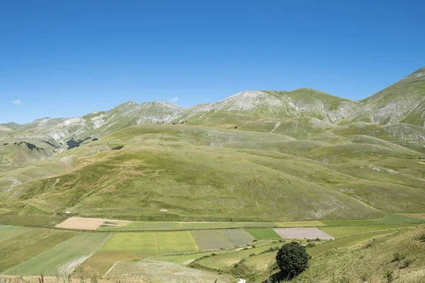 Vale Castelluccio Norcia — Fotografia de Stock