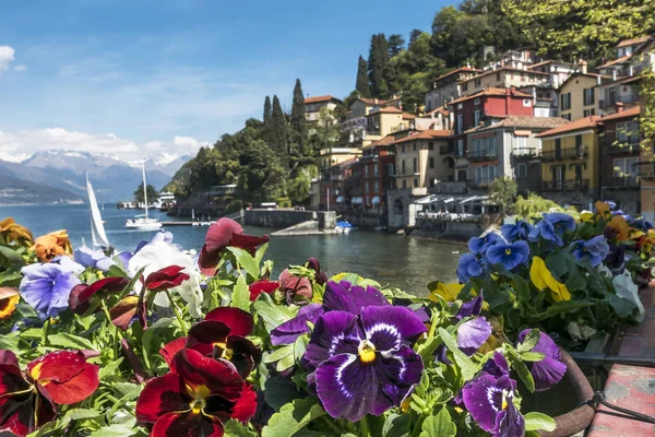 Varenna Ilkbaharda Çiçekler — Stok fotoğraf