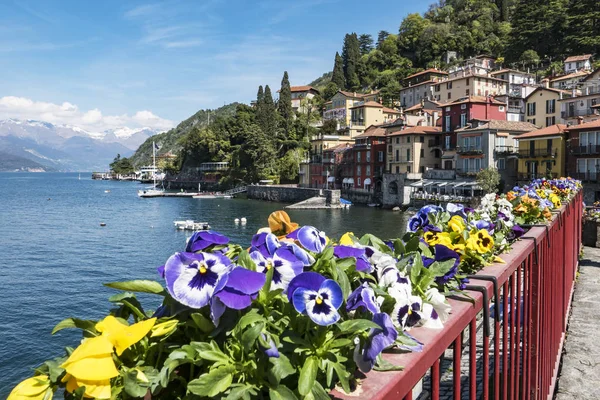 Varenna Ilkbaharda Çiçekler — Stok fotoğraf