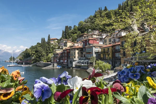 Varenna'da ilkbaharda çiçekler