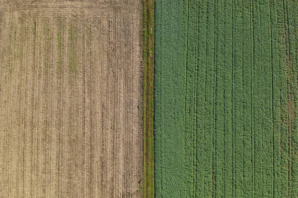 Vue aérienne des champs agricoles — Photo