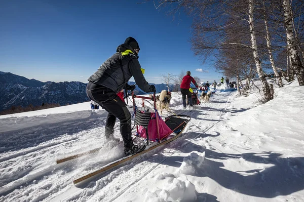 Pessoas Andando Revezamento Com Cães Temporada Inverno — Fotografia de Stock