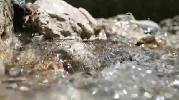 Gros Plan Eau Qui Coule Dans Ruisseau Montagne — Video