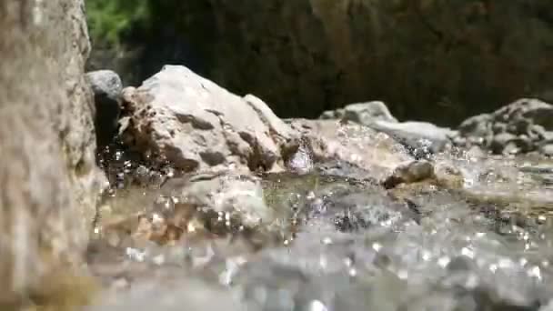 Gros Plan Eau Qui Coule Dans Ruisseau Montagne — Video