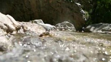 Bir dağ deresinde akan suyun yakın çekimi