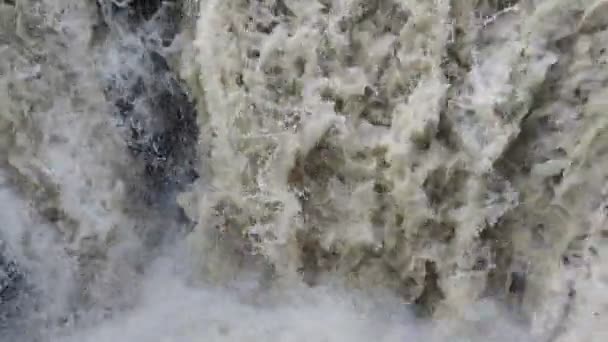 Woda Płynąca Strumieniu Włoskich Alp — Wideo stockowe