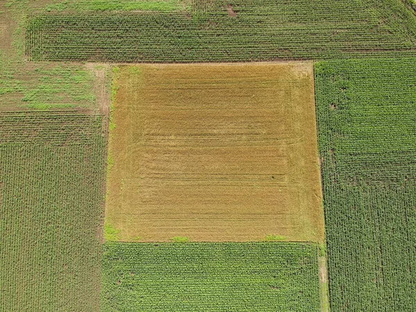 Campo Agrícola Visto Desde Arriba —  Fotos de Stock