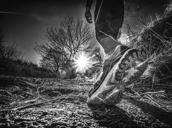 Runner on the italian alps at sunset in black and white
