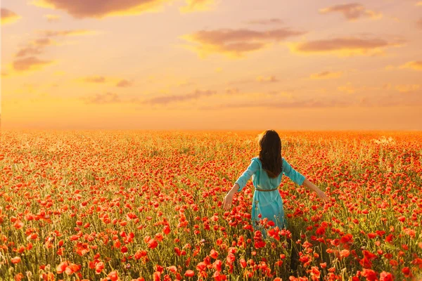 夕日に赤いケシ草原に歩いてブルーのドレスを着た若い女性 — ストック写真