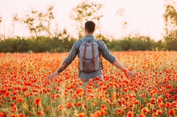 旅行者のバックパックを背面の赤いケシ草原の中を歩いて若い男 — ストック写真