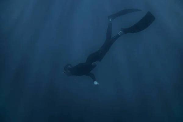 年轻男子 Freediver 穿着潜水衣和鳍游泳水下在蓝色的深海 — 图库照片
