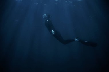 Wetsuit ve sualtı dalış derin mavi denizde palet giyiyor sportif genç adam.