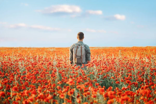 Viajante Mochileiro Jovem Caminhando Papoilas Flor Prado Visão Traseira — Fotografia de Stock