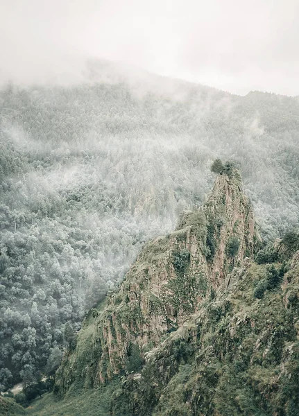 Krásná Zeleň Útesu Horách Mlhavé Počasí — Stock fotografie