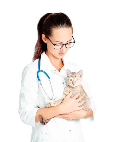 Mujer Joven Médico Veterinario Usando Abrigo Blanco Con Estetoscopio Sosteniendo — Foto de Stock