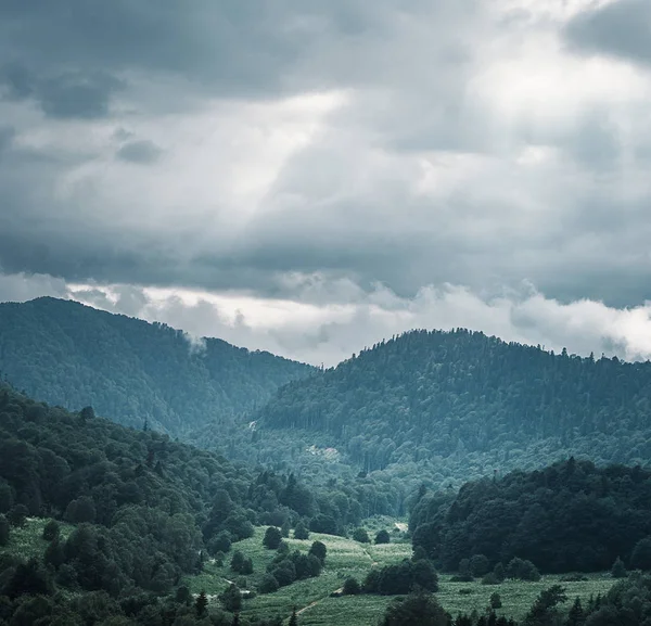 Valle Montagna Con Foresta Verde Tempo Nuvoloso Piovoso Nella Stagione — Foto Stock