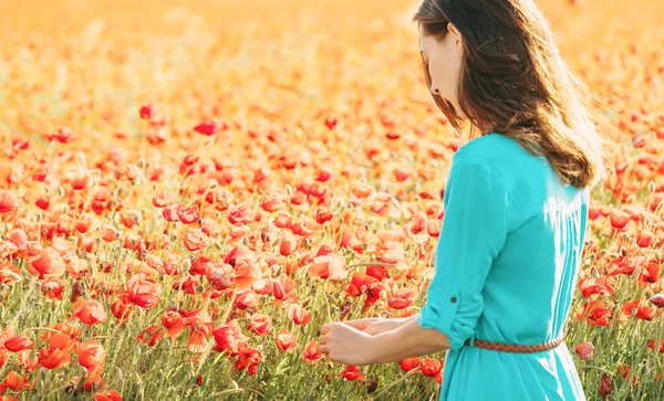 草原の赤いケシの花を摘み青いドレスを着た若い女性 — ストック写真