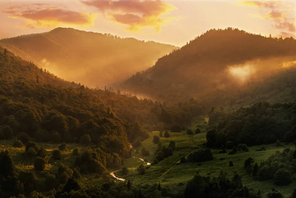Όμορφες Ορεινές Κοιλάδα Στο Φως Του Ήλιου Καλοκαίρι Στο Ηλιοβασίλεμα — Φωτογραφία Αρχείου