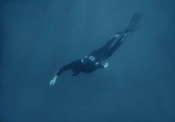 ウェット スーツ水泳水中で活発な若い男性フリーダイバー — ストック写真