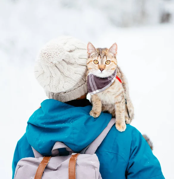 Traveler Backpacker Kvinna Med Söt Katt Hennes Axel Går Vintern — Stockfoto