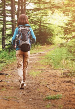 Orman yolu üzerinde yürüyen uzun yürüyüşe çıkan kimse kadın.