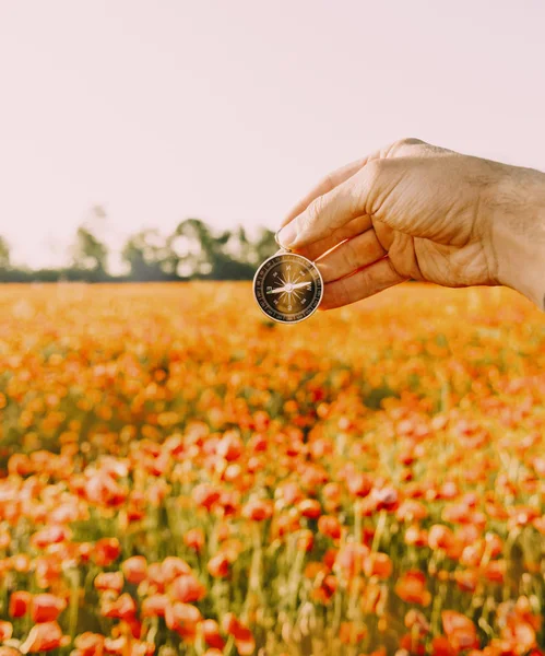花の草原でコンパスを持つ男性の手. — ストック写真