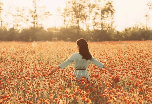 Chica caminando a través del prado de amapola y tocando flores . —  Fotos de Stock