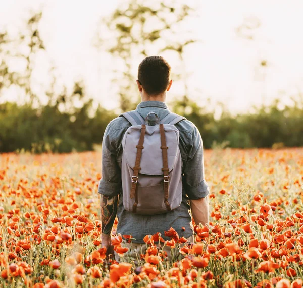 Explorador homem andando no verão papoula flor prado . — Fotografia de Stock