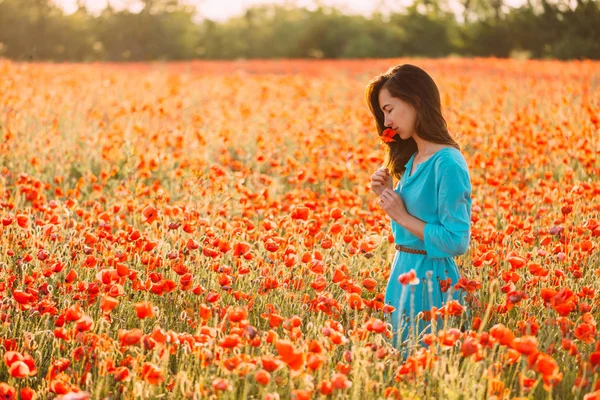 夏のfで赤いケシの花の香りをするロマンチックな美しい女性 — ストック写真