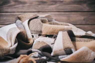 Yumuşak ekose altında saklanan sevimli evcil kedi.