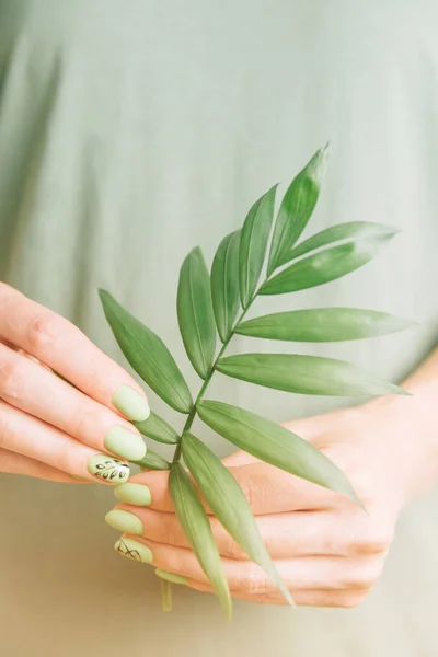 Mains féminines avec manucure verte tenant la feuille de palme . — Photo