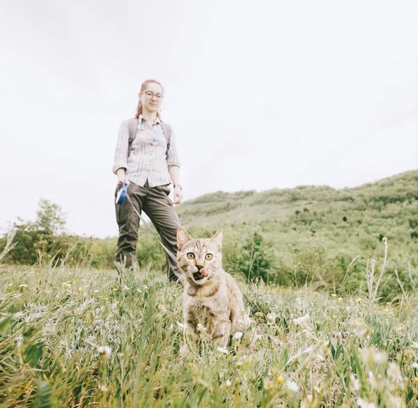 屋外のリードで猫のペットと一緒に歩く女性. — ストック写真