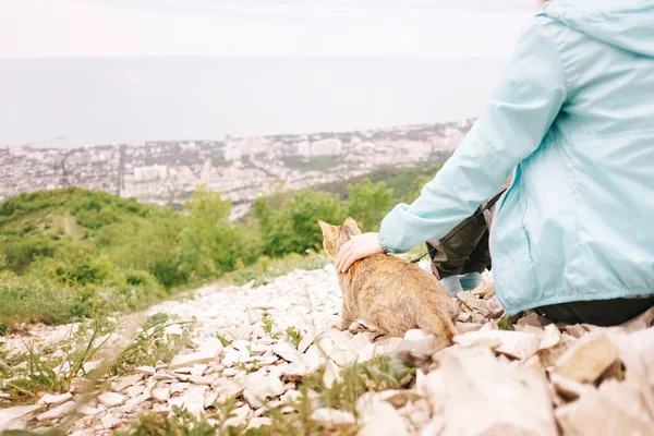 Animal de estimação gato andando com mulher sobre a cidade ao ar livre . — Fotografia de Stock