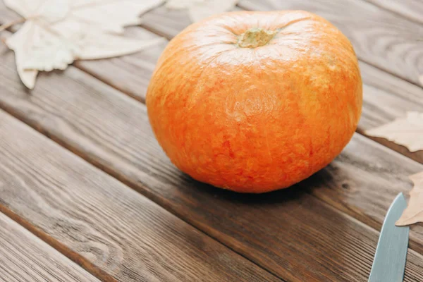 Olgun balkabağı ve bıçak oyma için, Cadılar Bayramı için hazırlık.