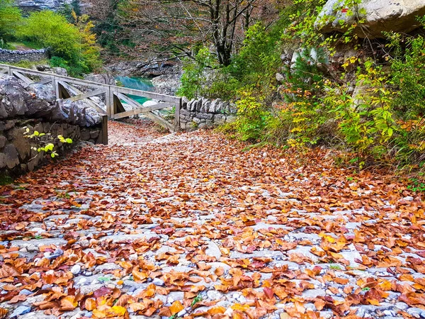 Séta az őszi út erdőben Ordesa y Monte Perdido Nemzeti Park, Huesca. Spanyolország — Stock Fotó