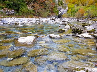 Nehrin yanındaki ağaçların yapraklarında kahverengi, yeşil, portakal ve sarı renklerde güzel sonbahar manzarası. Görüntü Ordesa, Huesca alınmıştır. İspanya. Yatay