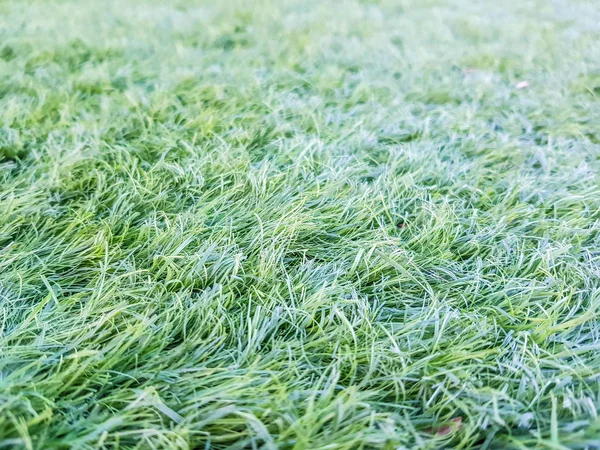 Detal sztucznej trawy umieszczony na boisku — Zdjęcie stockowe