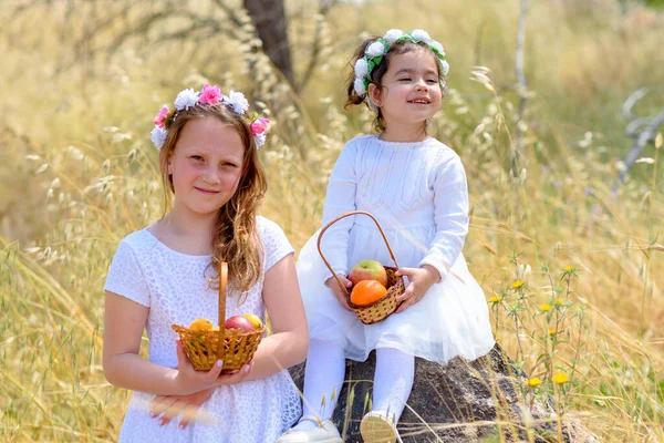 Hasat et. Shavuot. İki tatlı, gülümseyen küçük kız buğday tarlasında meyveli sepeti tutuyor. Dışarıdaki sevimli çocukların portresi..