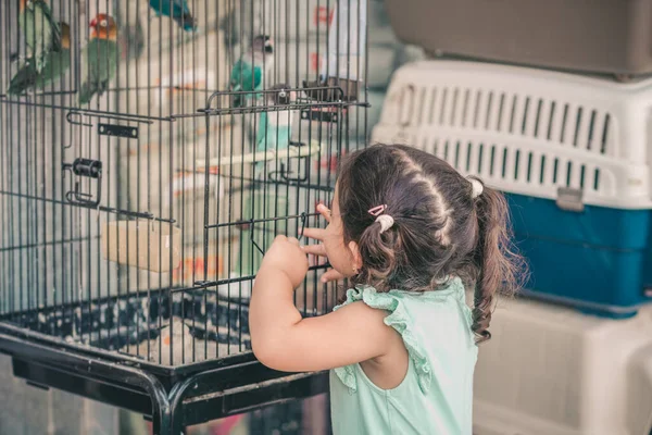 Piccolo bambino carino dall'aspetto colorato pappagallo sulla gabbia. — Foto Stock
