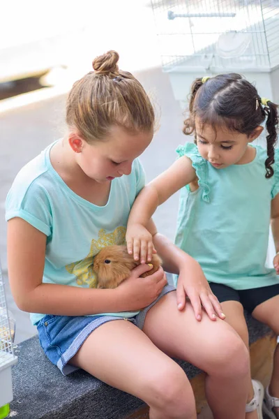 Felice giovane ragazza che tiene coniglio coniglio. — Foto Stock