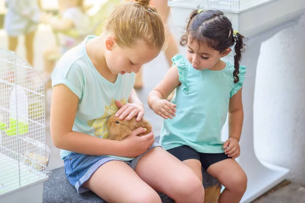 Due giovani ragazze felici che giocano con coniglio coniglio. — Foto Stock