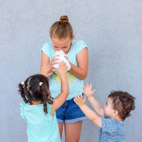 Tres niños felices jugando con conejo . — Foto de Stock