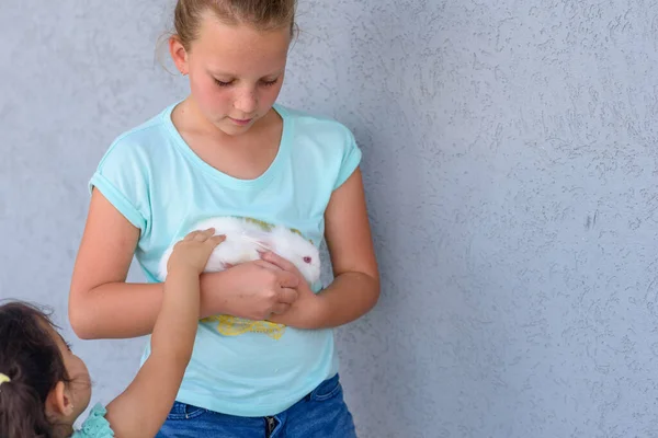 Felice giovane ragazza che tiene coniglietto peloso rabbit.Two felici ragazze che giocano con coniglietto bianco,. — Foto Stock