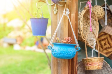 Crassula ve Sedum sulu bitkiler. Yeniden kullanılmış ekici fikirleri. İkinci el, eski mavi tencere bahçe çiçeği saksısına dönüşür. Kırsal bir eski tarz. Geri dönüştürülmüş bahçe tasarımı ve düşük atık yaşam tarzı.