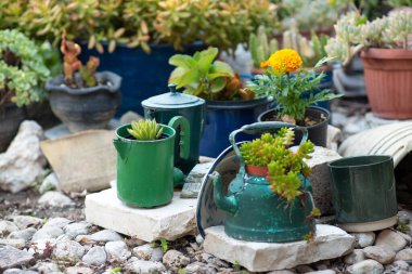 Reused planter ideas. Second-hand kettles, saucepans, old teapots turn into garden flower pots. Recycled garden design and low-waste lifestyle. Selective focus. clipart