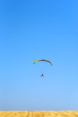 Kırsal masa örtüsünün üzerinde taze meyve ve süt var. Mutlu yaz günleri. Sepette üzüm ve şeftali var. Buğday tarlası ve mavi gökyüzü arka planı. Mutlu anlar, güneşli günler..