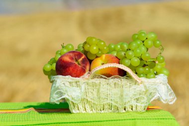 Kırsal masa örtüsünün üzerinde taze meyve ve süt var. Mutlu yaz günleri. Sepette üzüm ve şeftali var. Buğday tarlası ve mavi gökyüzü arka planı. Mutlu anlar, güneşli günler..