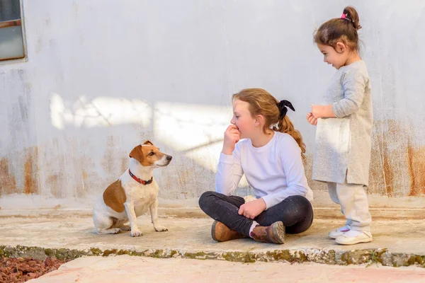 Due Giovani Ragazze Che Giocano Con Pet Dog Jack Russell — Foto Stock