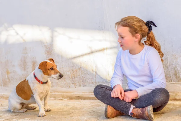 Giovane Bella Ragazza Che Gioca Con Pet Dog Jack Russell — Foto Stock