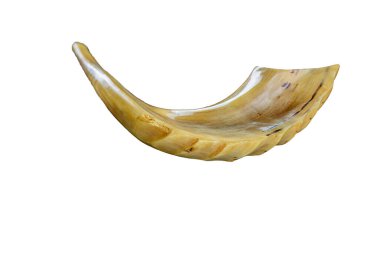 Shofar borusu beyazda izole edilmiş. Yom Kippur, Rosh Hashanah Yahudi bayramı konsepti .